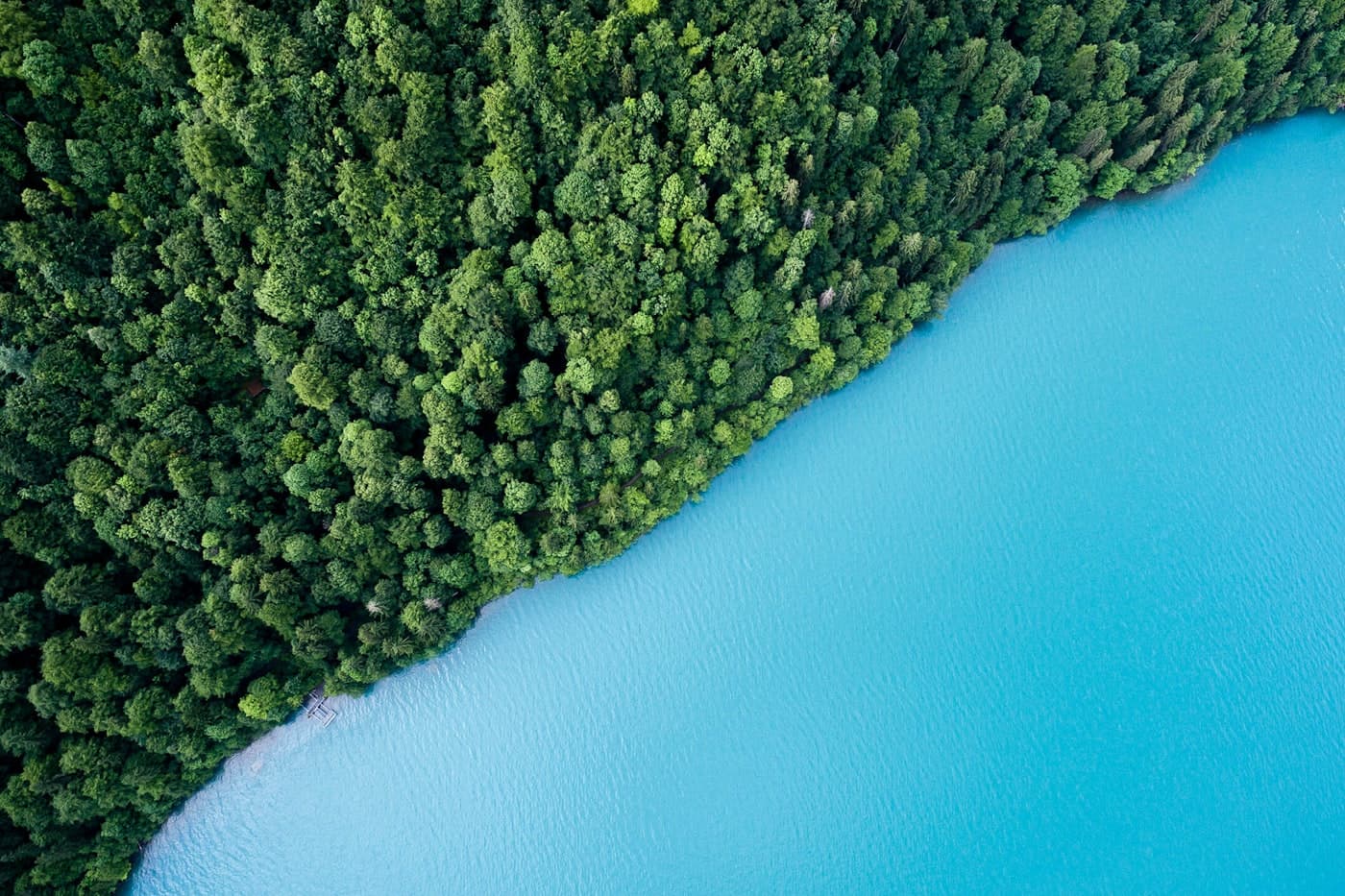 A turquoise river winding through dense forest, seen from above