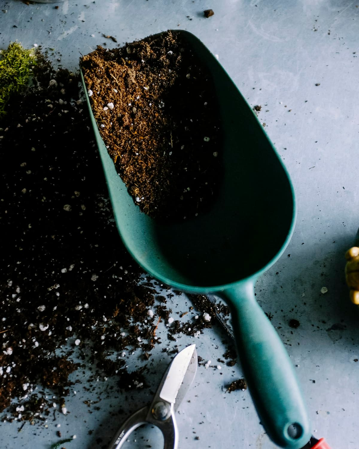 A pair of hands gently tending dark soil